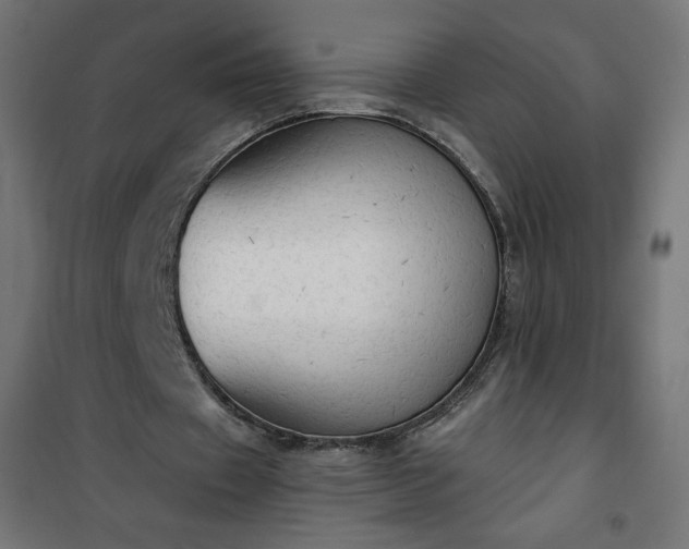 X0000101150433200807071153