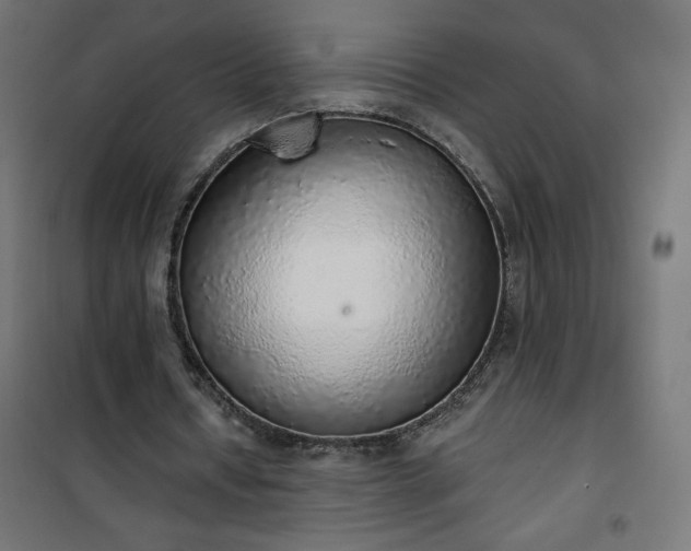 X0000101150434200807071153