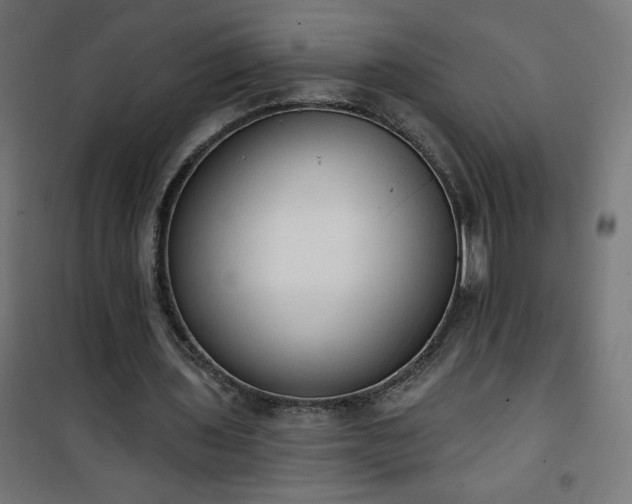 X0000101150435200807071153