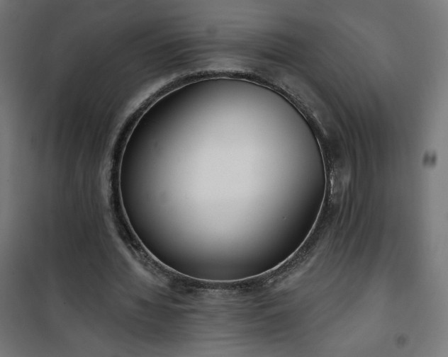 X0000101150436200807071153