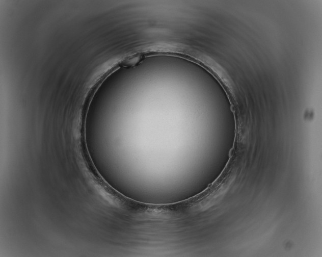 X0000101150437200807071153