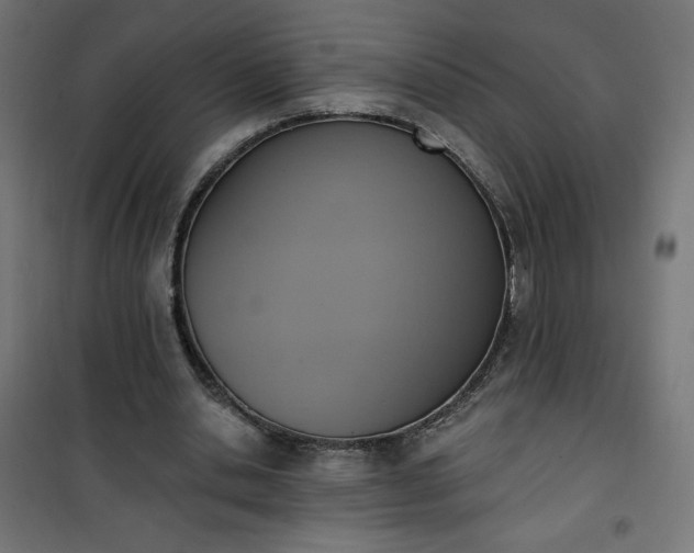 X0000101150438200807071153