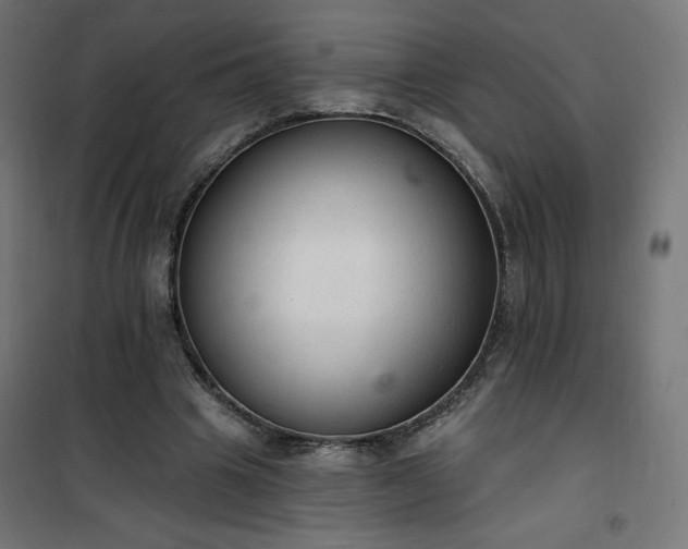 X0000101150441200807071153