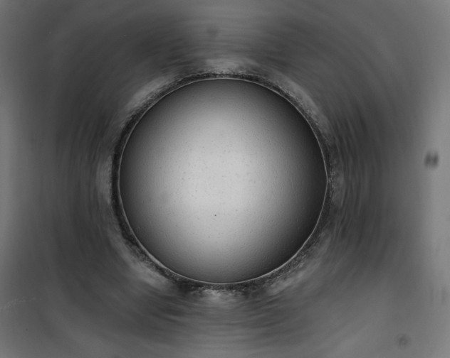 X0000101150442200807071153