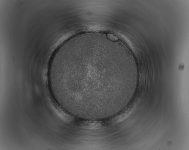 X0000101150443200807071153