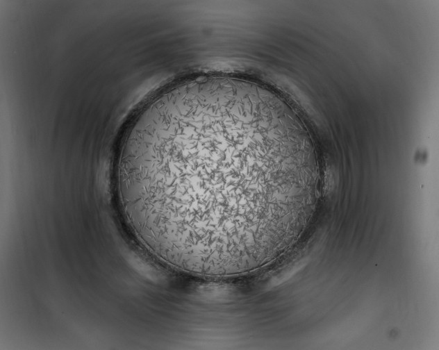 X0000101150444200807071153