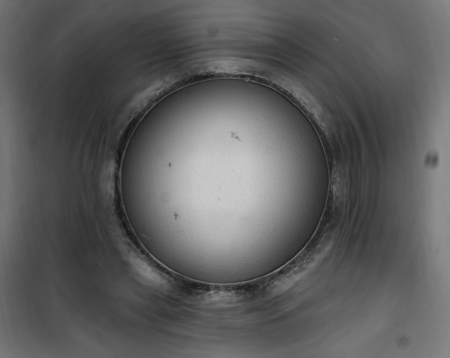 X0000101150445200807071153