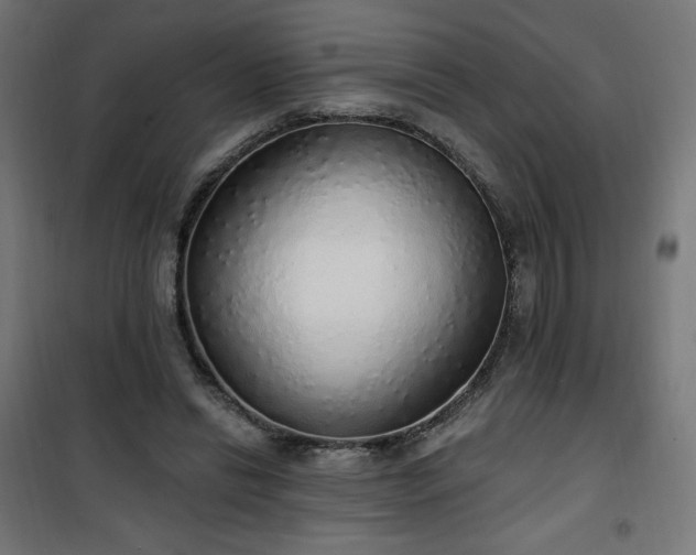 X0000101150446200807071153