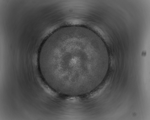 X0000101150447200807071153