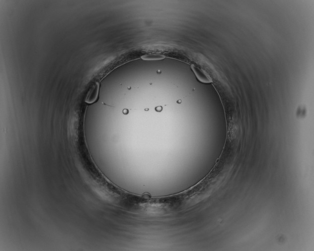 X0000101150448200807071153