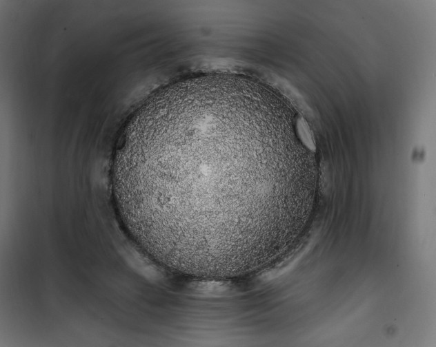 X0000101150449200807071153