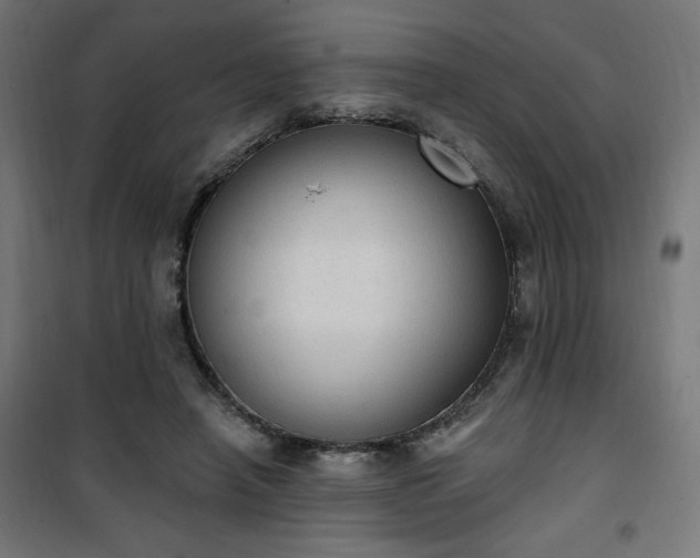 X0000101150450200807071153