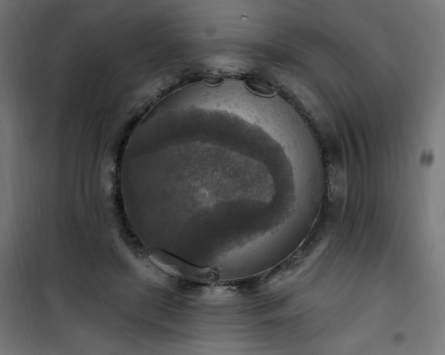 X0000101150451200807071153