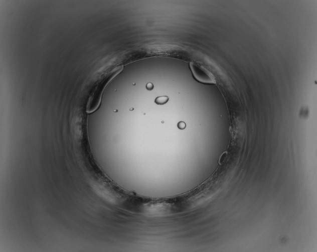 X0000101150452200807071154