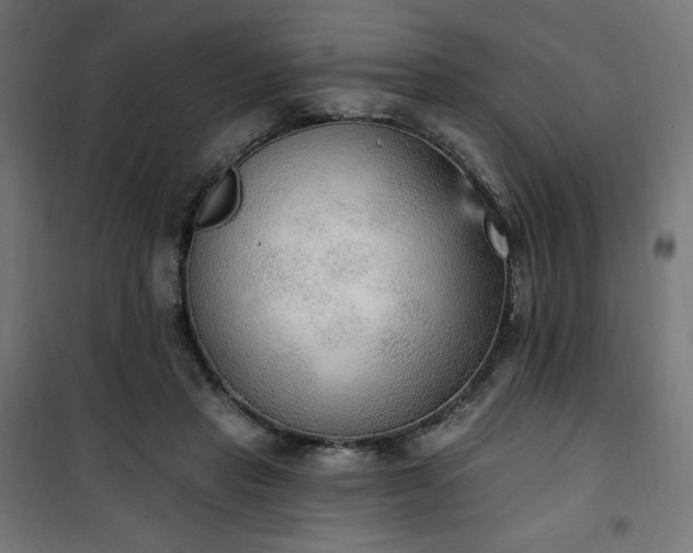 X0000101150453200807071154