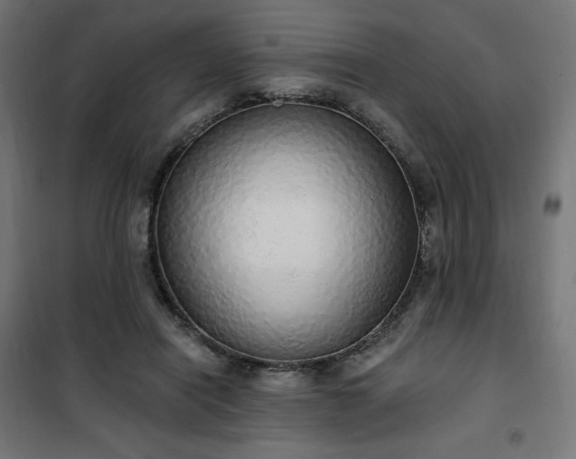 X0000101150454200807071154