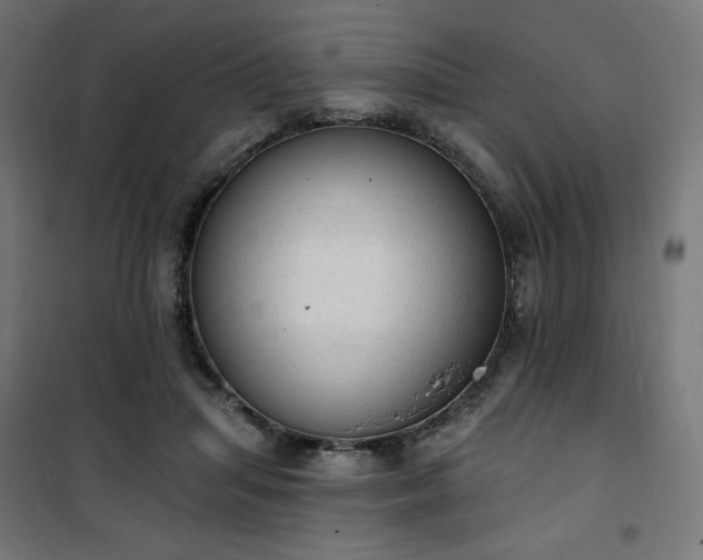 X0000101150455200807071154