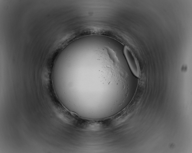 X0000101150456200807071154