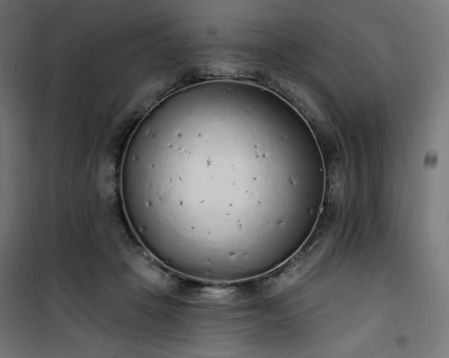 X0000101150457200807071154