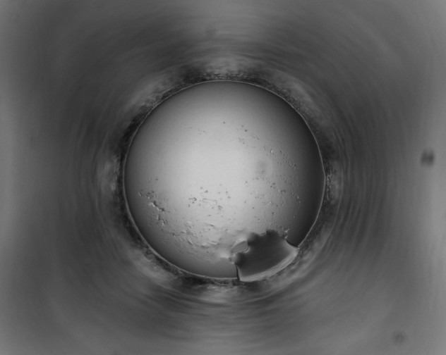 X0000101150458200807071154