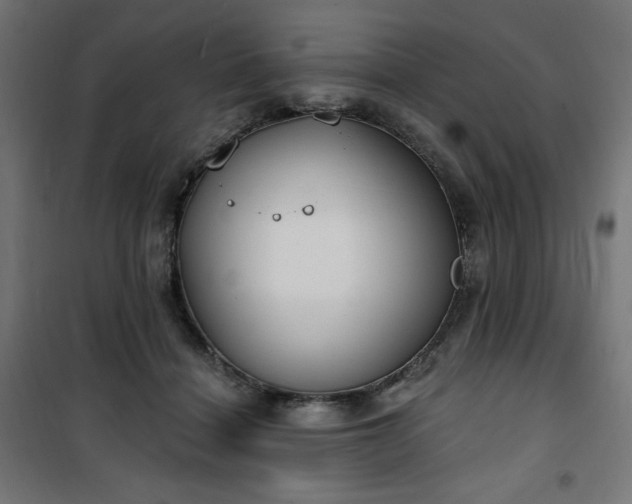 X0000101150460200807071154