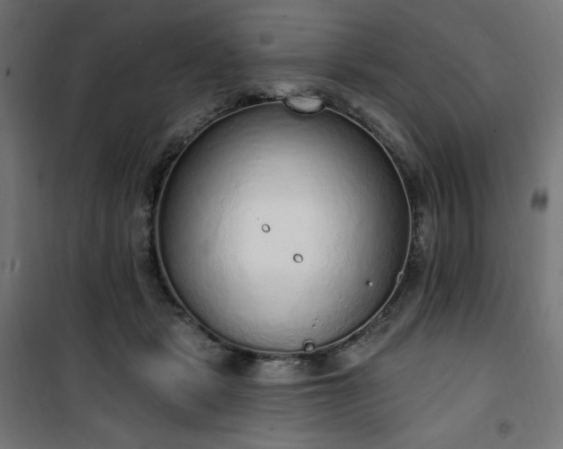 X0000101150461200807071154