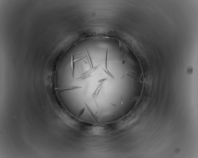 X0000101150462200807071154
