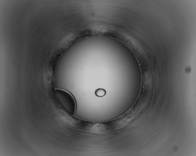 X0000101150463200807071154