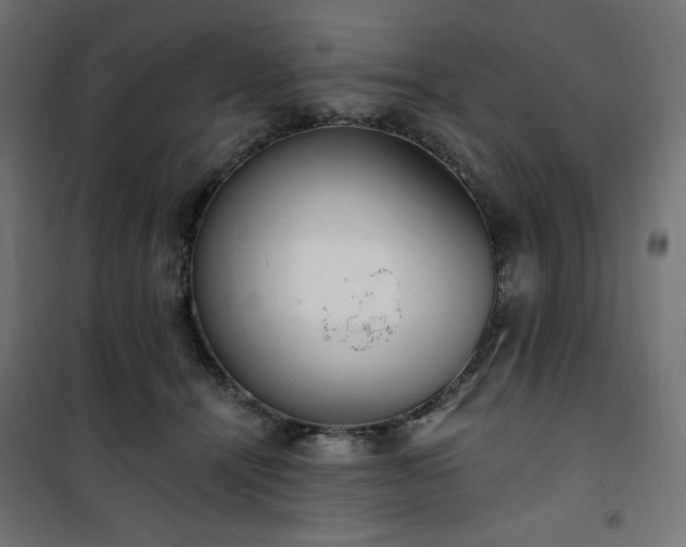 X0000101150464200807071154