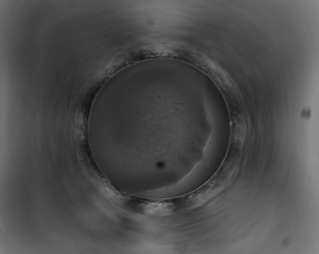 X0000101150465200807071154