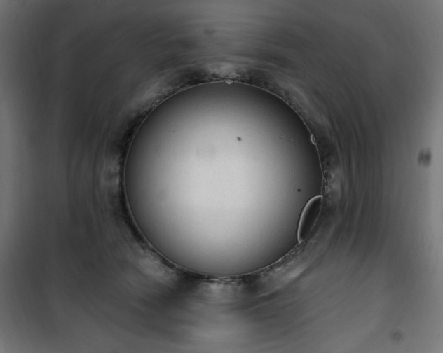 X0000101150466200807071154