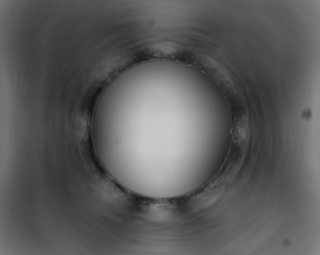 X0000101150468200807071154