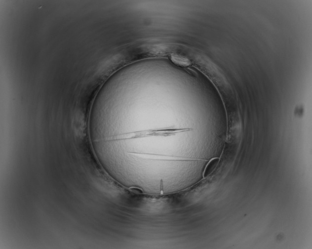 X0000101150469200807071154
