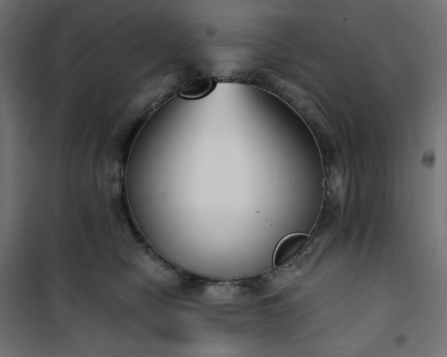 X0000101150470200807071154