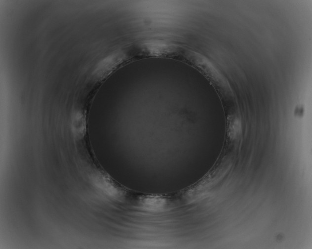 X0000101150471200807071154