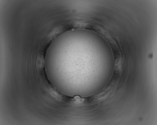 X0000101150474200807071154