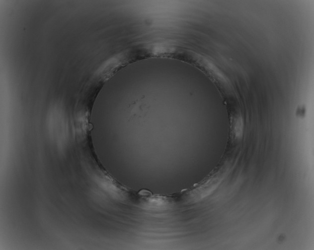 X0000101150475200807071154