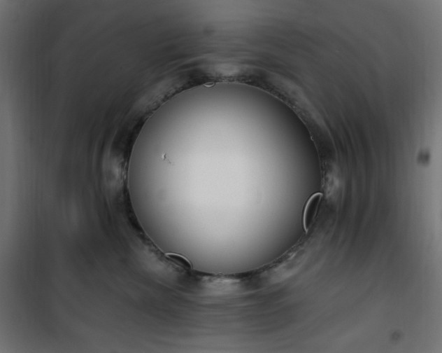 X0000101150476200807071154