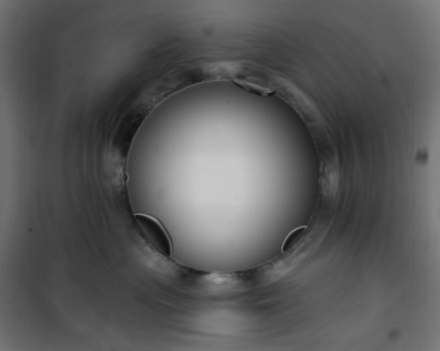 X0000101150477200807071154