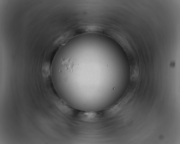 X0000101150478200807071154