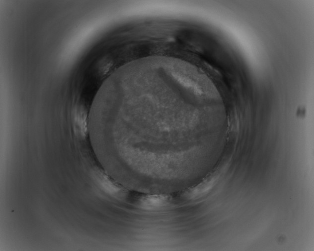 X0000101150479200807071154