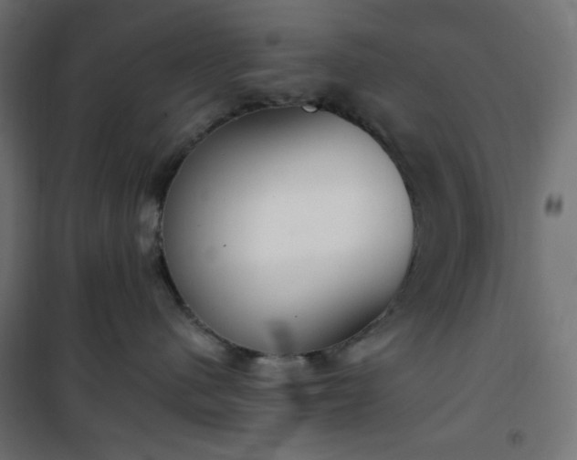 X0000101150480200807071154