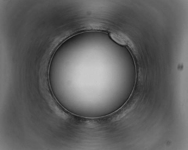 X0000101150481200807071153