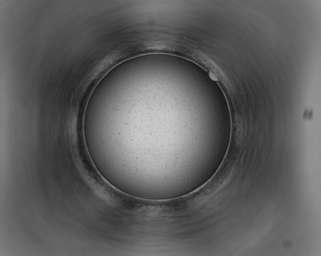 X0000101150482200807071153