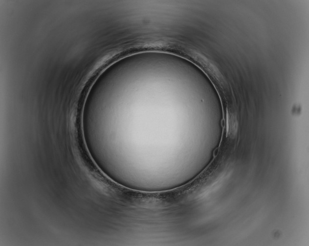 X0000101150483200807071153