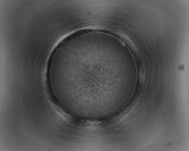 X0000101150484200807071153