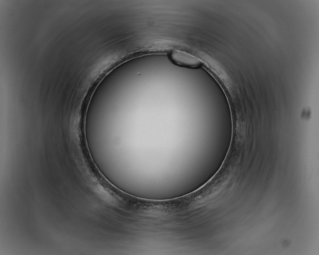 X0000101150485200807071153