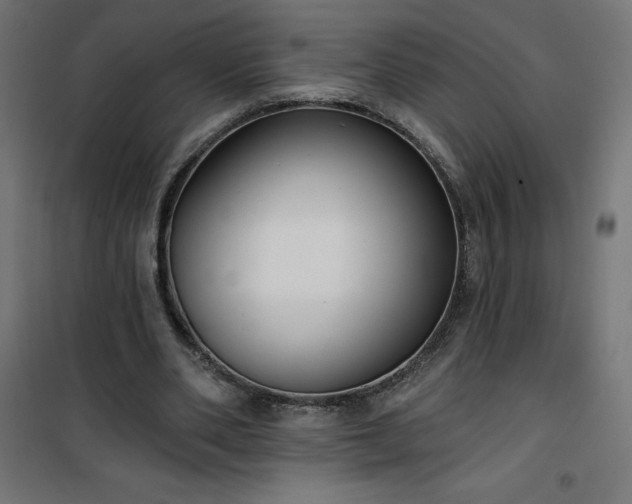 X0000101150486200807071153