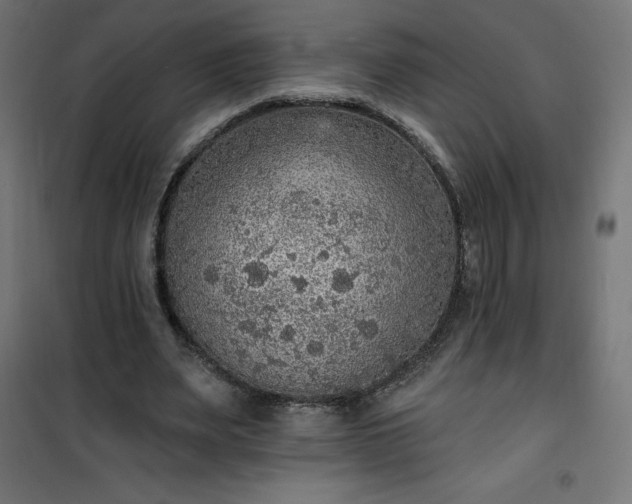 X0000101150487200807071153