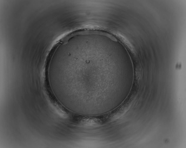 X0000101150488200807071153